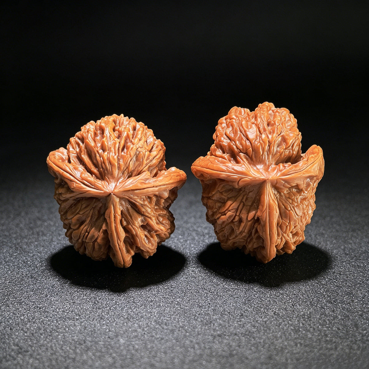 The "Cowboy Hat" Lion Head (Shi Zi Tou) Investment-Grade Three-Ribbed Masterpiece | 38.0mm x 44.0mm | SZTDN-1301E - ThePatinaProject