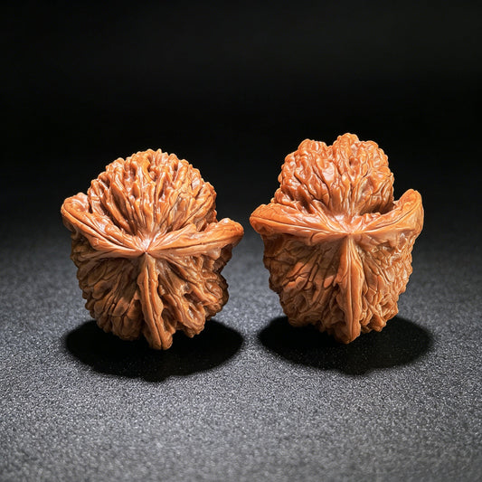 The "Cowboy Hat" Lion Head (Shi Zi Tou) Investment-Grade Three-Ribbed Masterpiece | 38.0mm x 44.0mm | SZTDN-1301E - ThePatinaProject