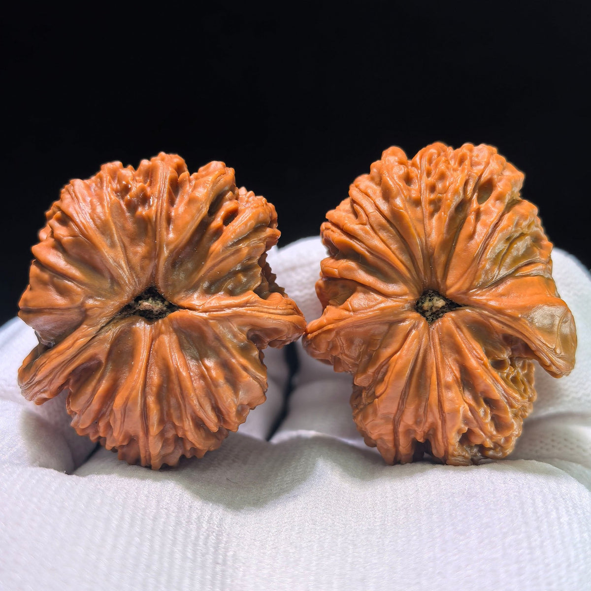The "Cowboy Hat" Lion Head (Shi Zi Tou) Investment-Grade Three-Ribbed Masterpiece | 38.0mm x 44.0mm | SZTDN-1301E - ThePatinaProject