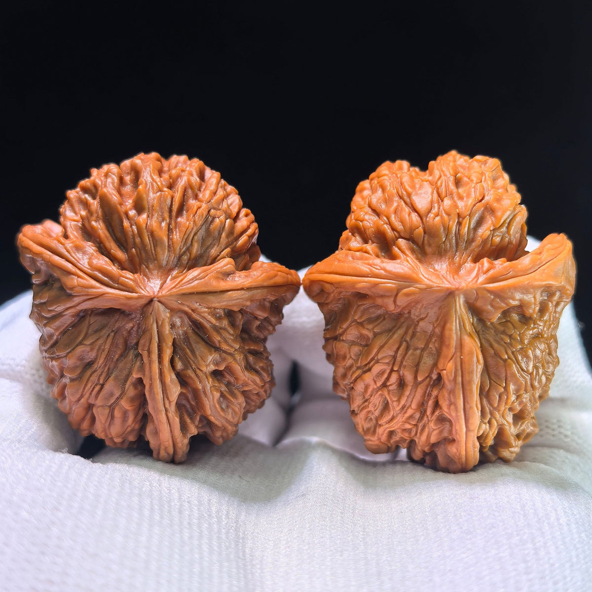 The "Cowboy Hat" Lion Head (Shi Zi Tou) Investment-Grade Three-Ribbed Masterpiece | 38.0mm x 44.0mm | SZTDN-1301E - ThePatinaProject