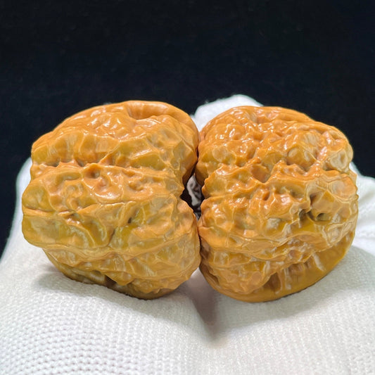 The "Crystal Jade Toad" (Yu Chan Shui Jing Wa) Premium Deep-Belly Pair | 37.0mm x 40.0mm | W-1009 - ThePatinaProject