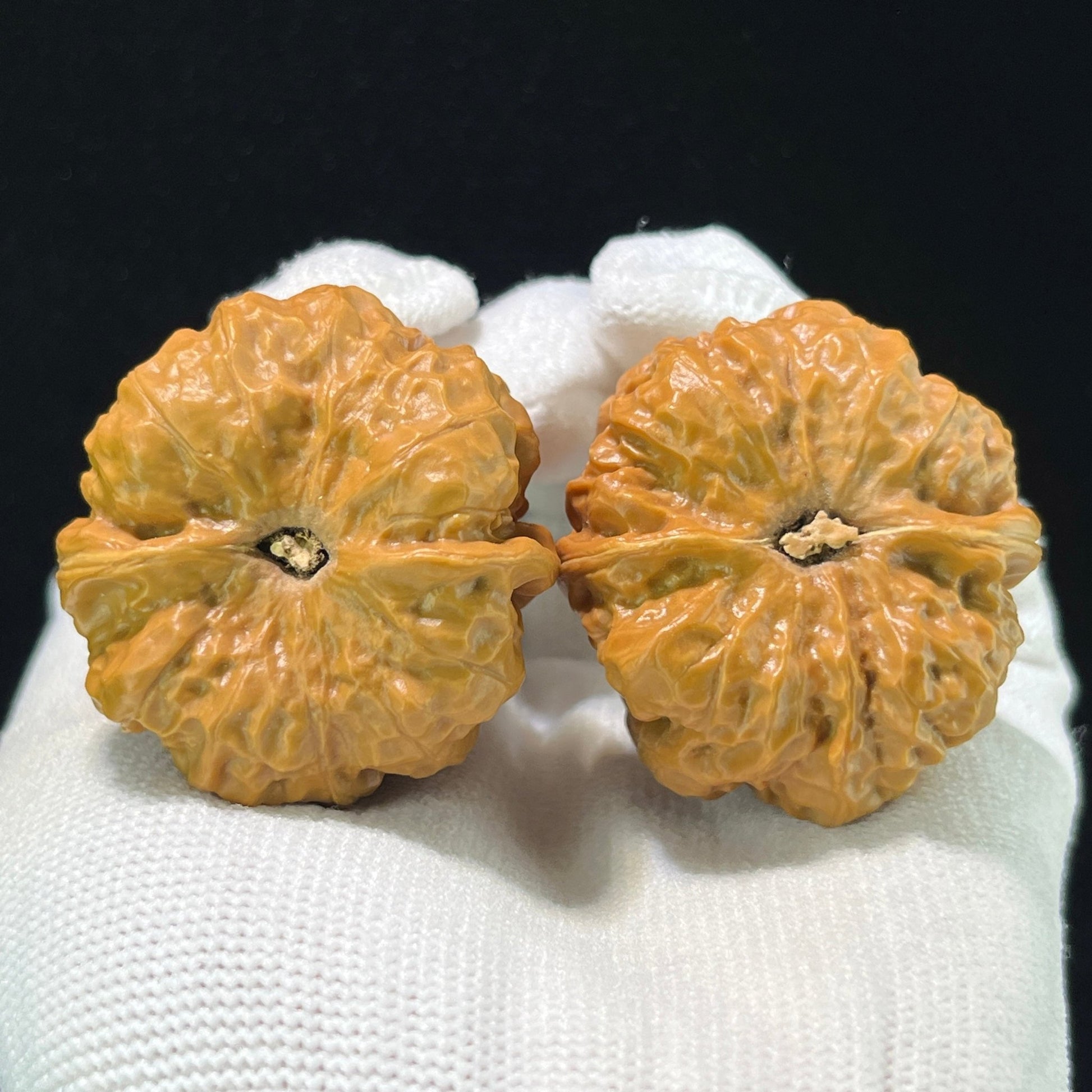 The "Crystal Jade Toad" (Yu Chan Shui Jing Wa) Premium Deep-Belly Pair | 37.0mm x 40.0mm | W-1009 - ThePatinaProject