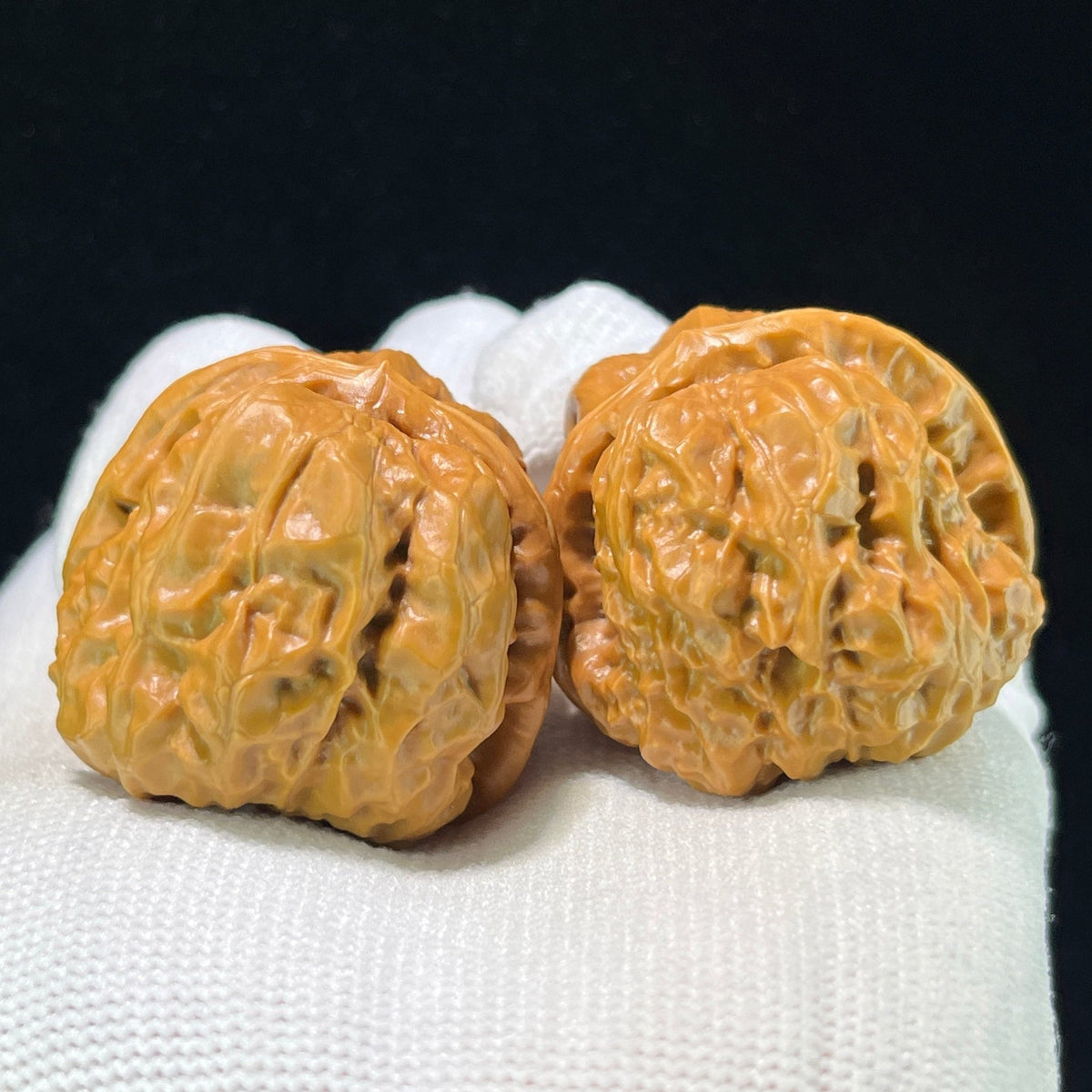 The "Crystal Jade Toad" (Yu Chan Shui Jing Wa) Premium Deep-Belly Pair | 37.0mm x 40.0mm | W-1009 - ThePatinaProject