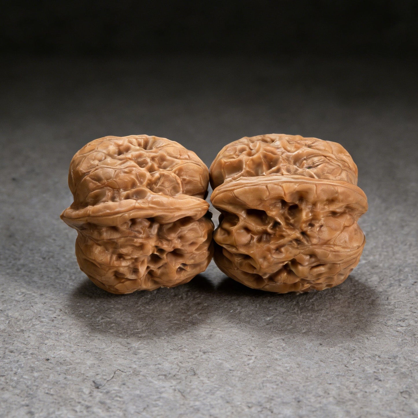 The "Dharma" (Damo) Pair | 35.0mm x 34.0mm | DM-01 - ThePatinaProject
