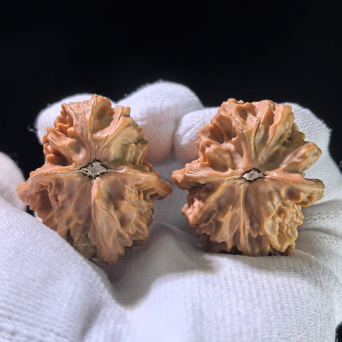 The "Dolphin" (Xiao Hai Tun) Rare Morphological Pair | 32.0mm x 33.0mm | XHT-1202E - ThePatinaProject