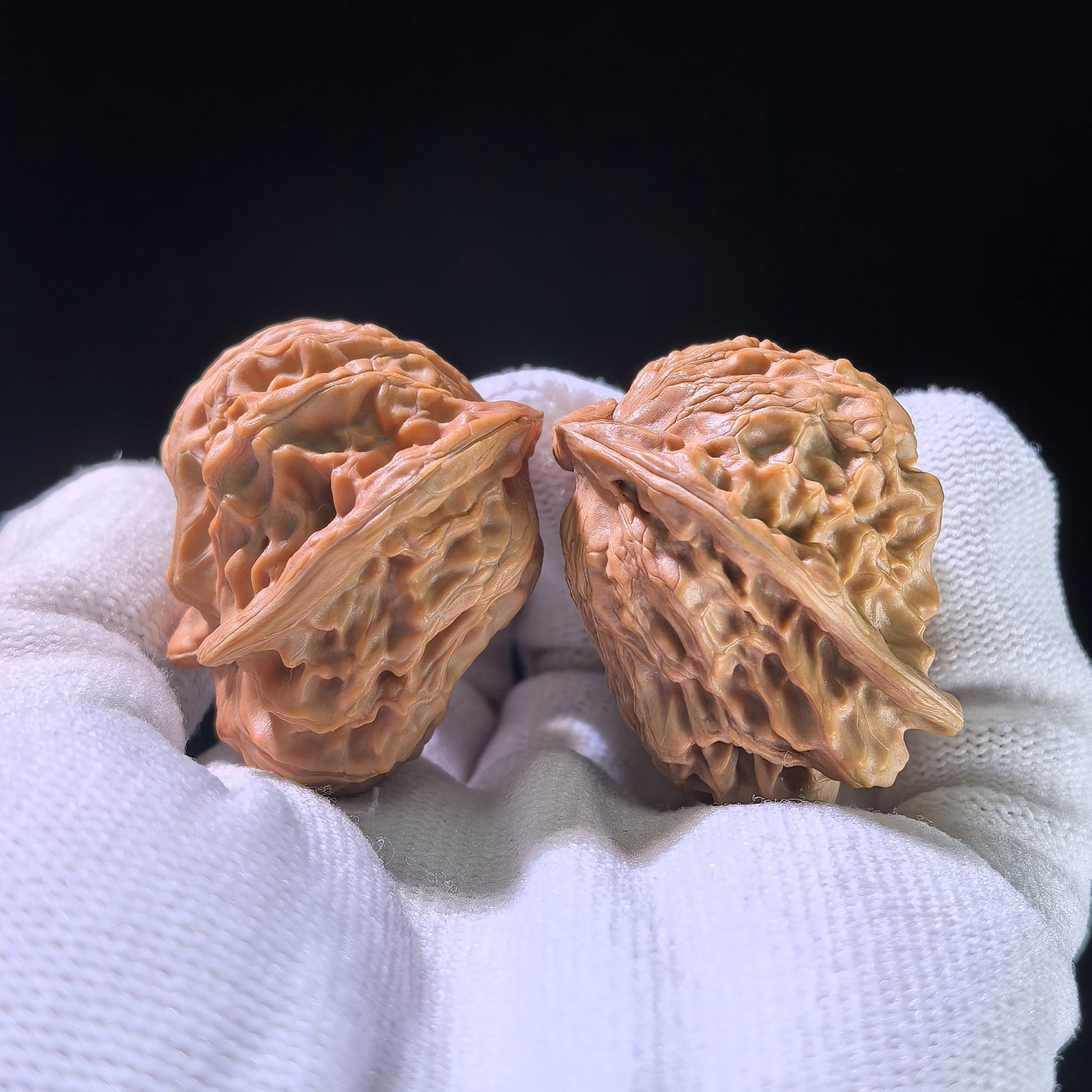 The "Dolphin" (Xiao Hai Tun) Rare Morphological Pair | 32.0mm x 33.0mm | XHT-1202E - ThePatinaProject