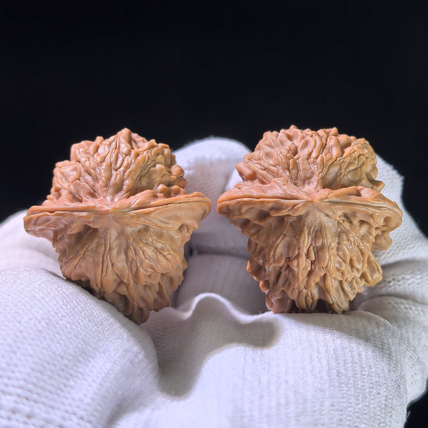 The "Dolphin" (Xiao Hai Tun) Rare Morphological Pair | 32.0mm x 33.0mm | XHT-1202E - ThePatinaProject