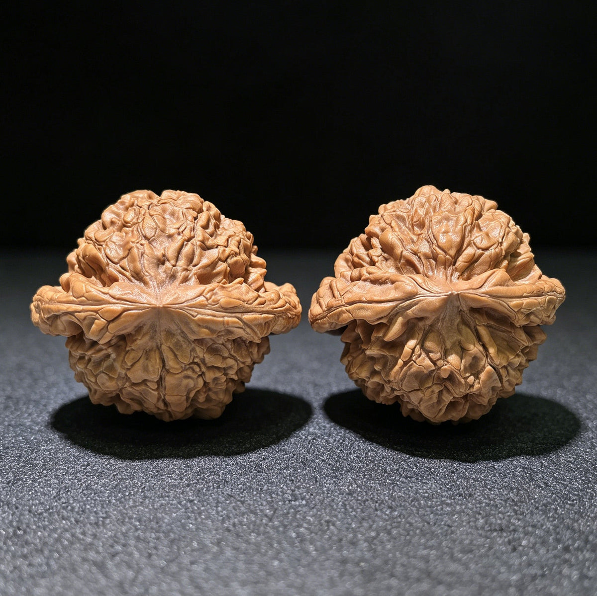 The "Dragon Cauldron" (Long Ding) Matched Pair | 55.0mm x 50.0mm | LD-1201C - ThePatinaProject