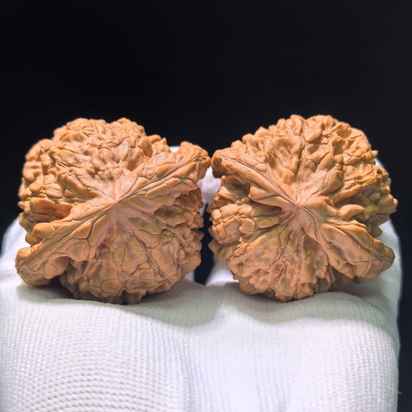 The "Dragon Cauldron" (Long Ding) Matched Pair | 55.0mm x 50.0mm | LD-1201C - ThePatinaProject