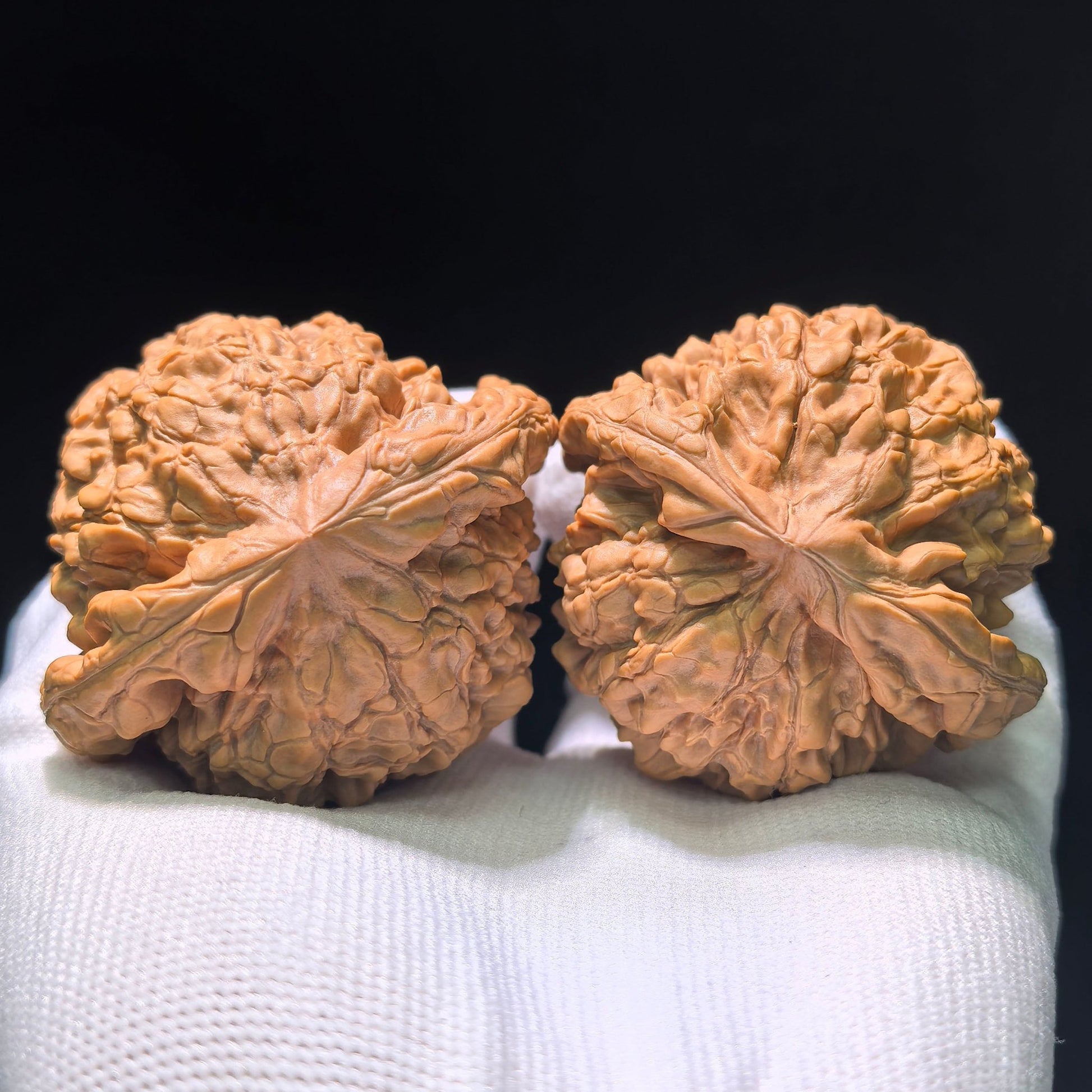 The "Dragon Cauldron" (Long Ding) Matched Pair | 55.0mm x 50.0mm | LD-1201C - ThePatinaProject