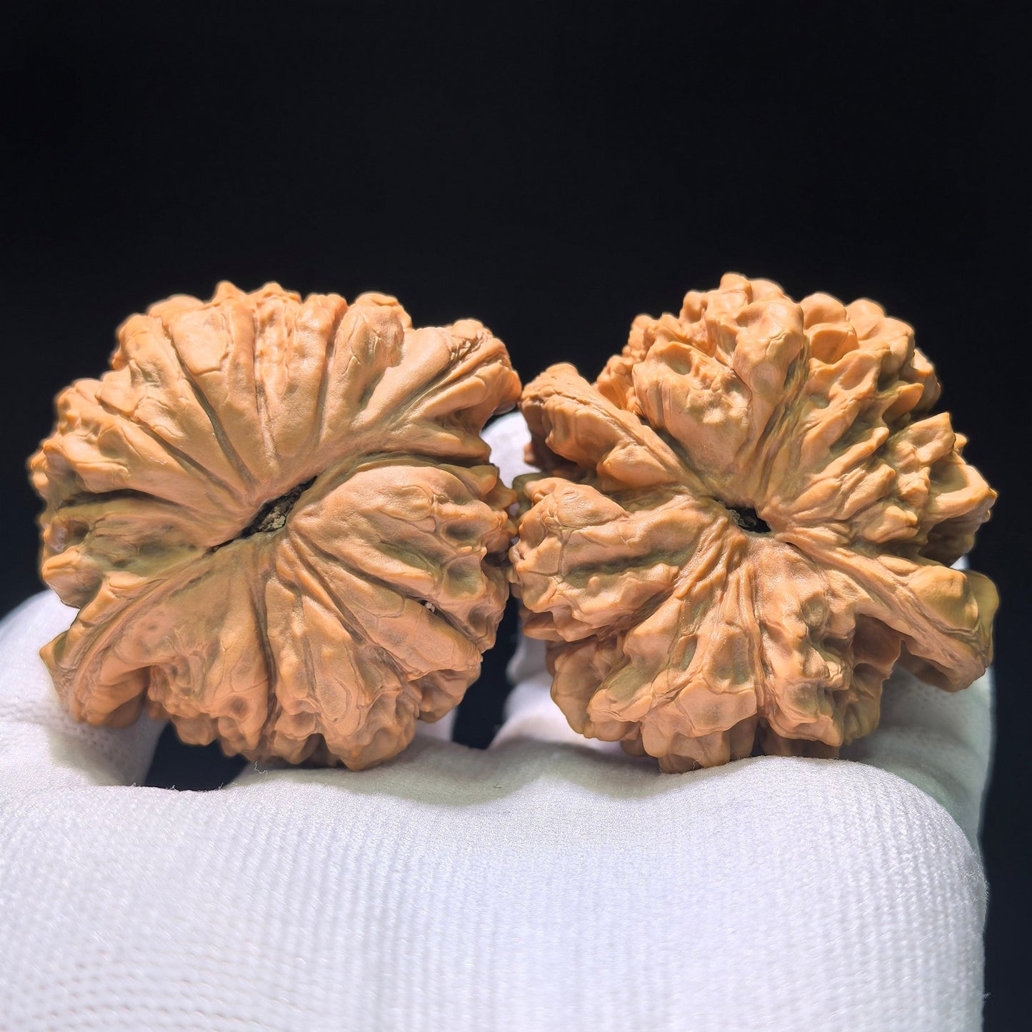 The "Dragon Cauldron" (Long Ding) Matched Pair | 55.0mm x 50.0mm | LD-1201C - ThePatinaProject