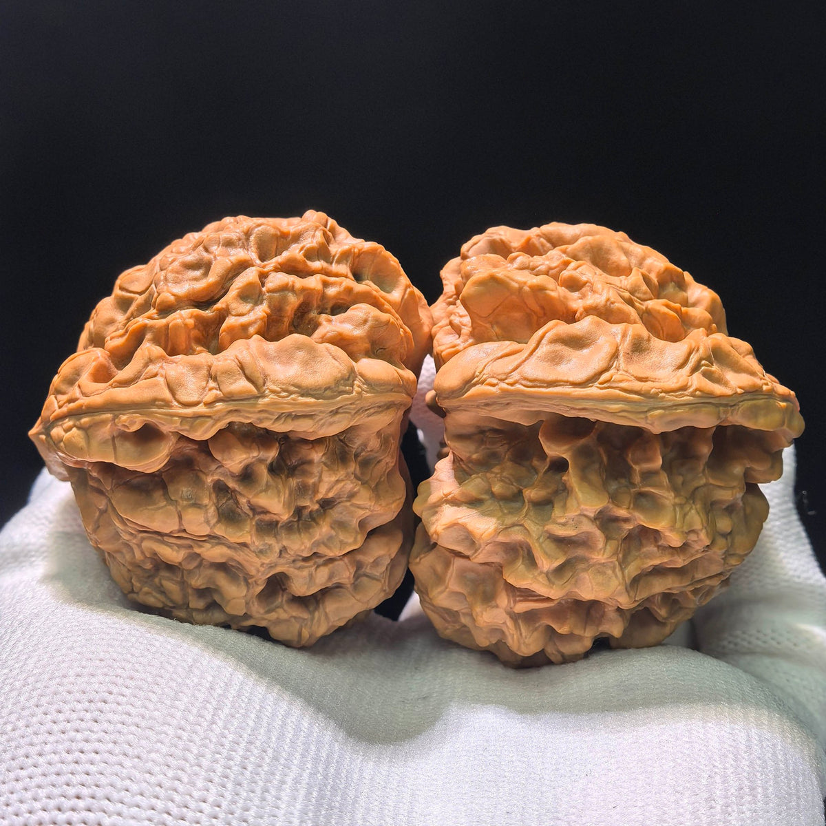 The "Dragon Cauldron" (Long Ding) Matched Pair | 55.0mm x 50.0mm | LD-1201C - ThePatinaProject