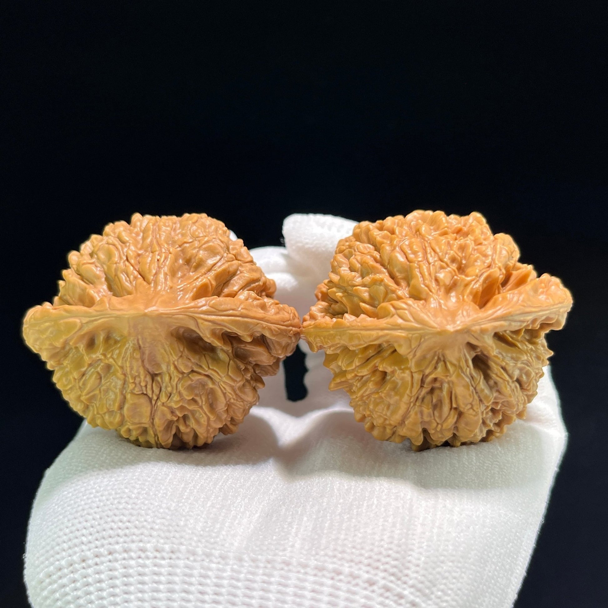 The "Dragon Cauldron" (Long Ding) Museum-Grade Giant Pair | 49.0mm x 45.0mm | LD-801 - ThePatinaProject