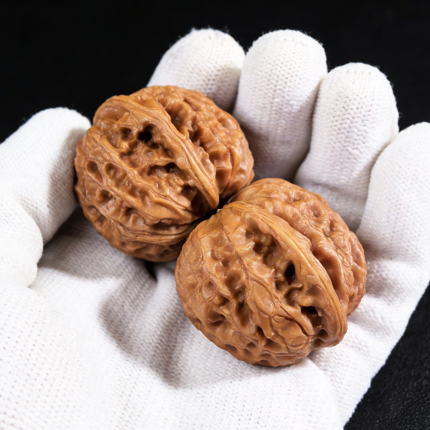 The "Dragon Gall" (Long Dan) Pair | 35.0mm x 34.0mm | LD-001 - ThePatinaProject