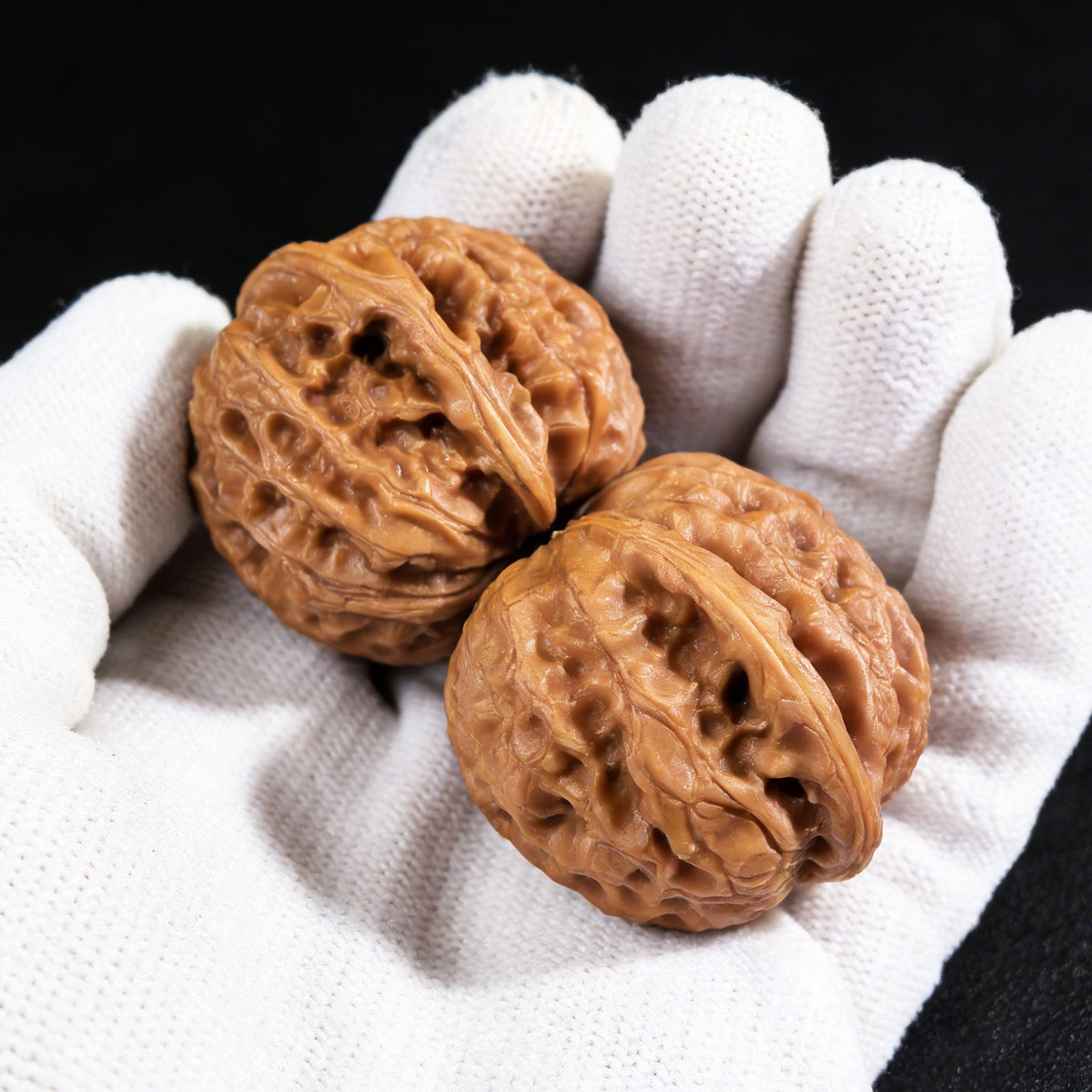 The "Dragon Gall" (Long Dan) Pair | 35.0mm x 34.0mm | LD-001 - ThePatinaProject