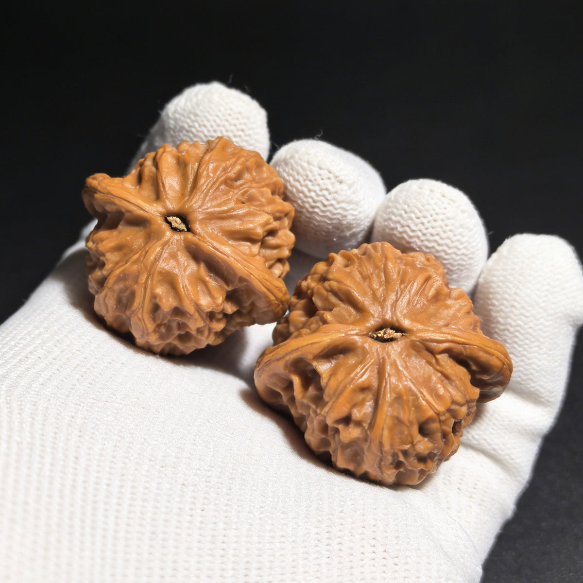 The "Dragon Gall" (Long Dan) Pair | 35.0mm x 34.0mm | LD-001 - ThePatinaProject