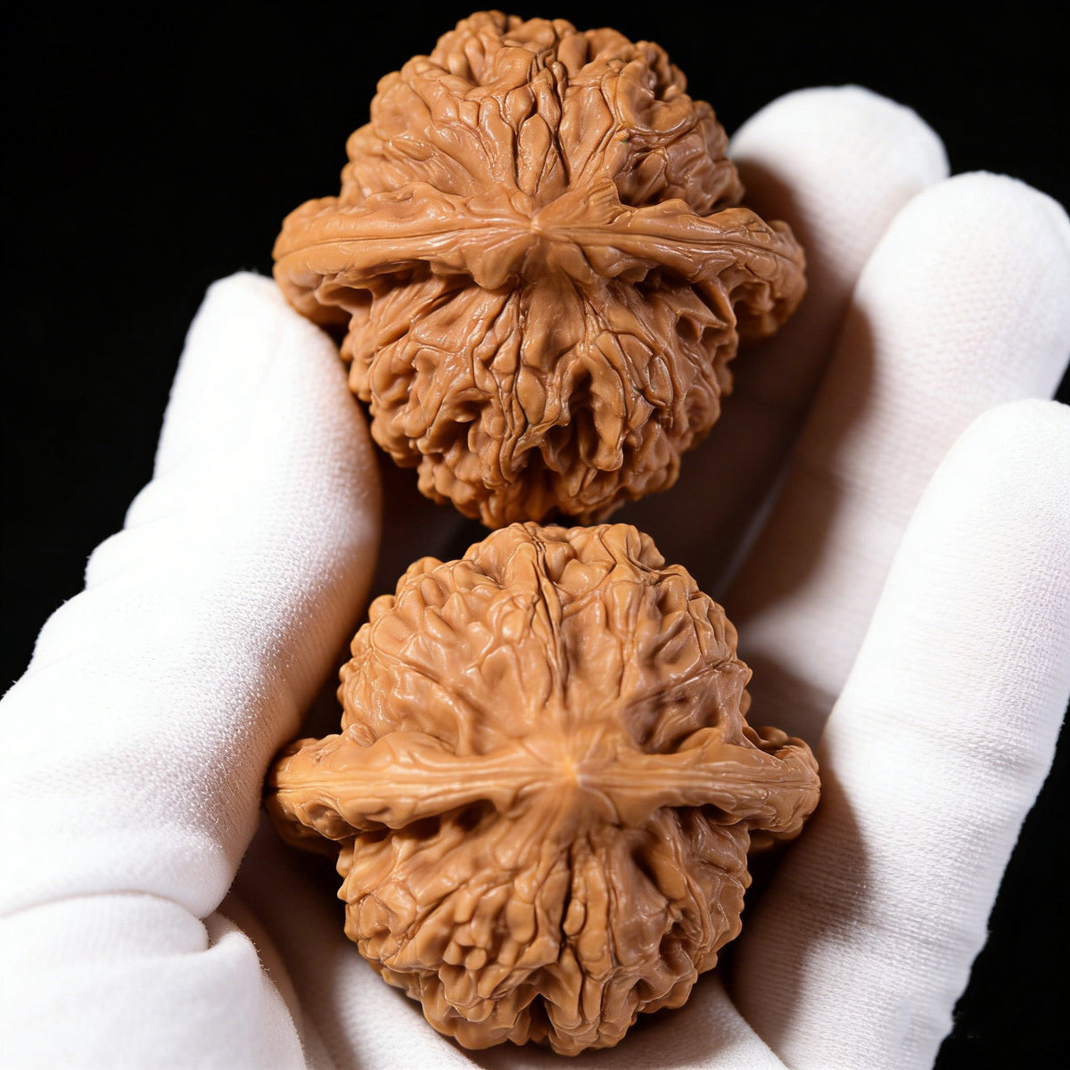 The "Dwarf Weight" (Chengtuo) Pair | 39.0mm x 37.0mm | CT-02 - ThePatinaProject