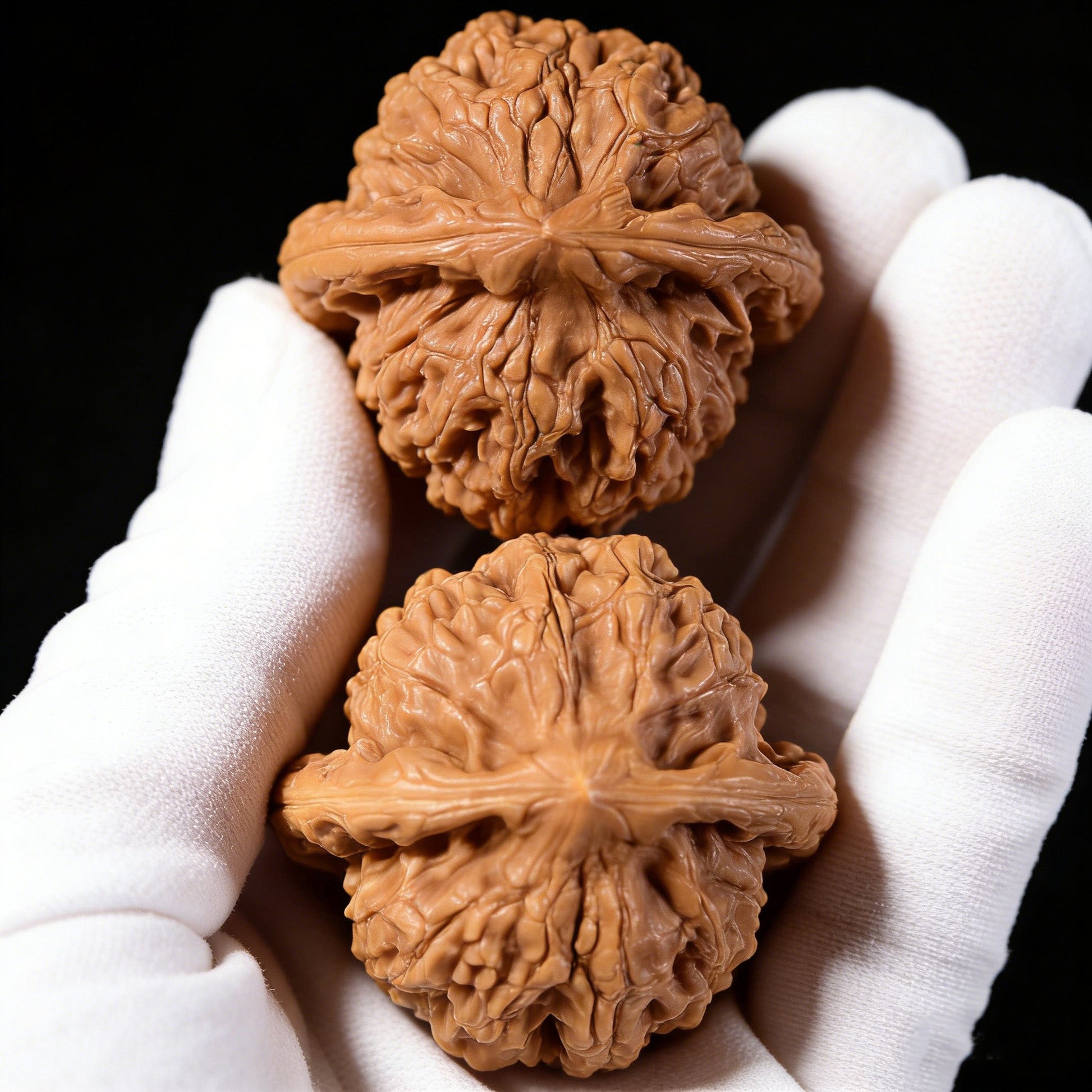 The "Dwarf Weight" (Chengtuo) Pair | 39.0mm x 37.0mm | CT-02 - ThePatinaProject