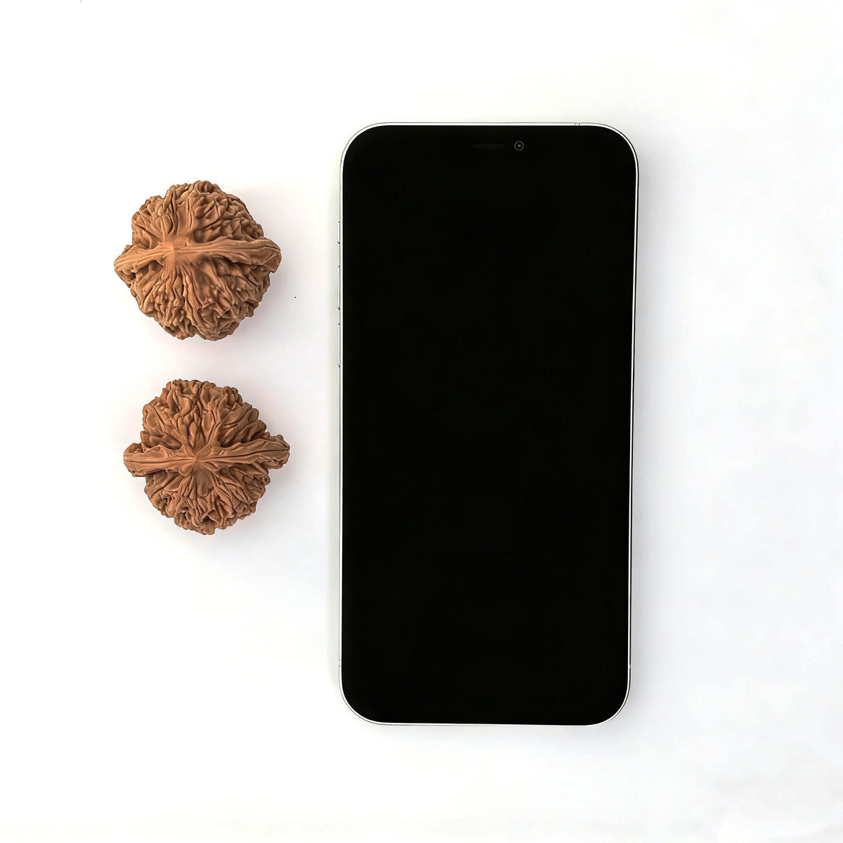 The "Dwarf Weight" (Chengtuo) Pair | 39.0mm x 37.0mm | CT-02 - ThePatinaProject