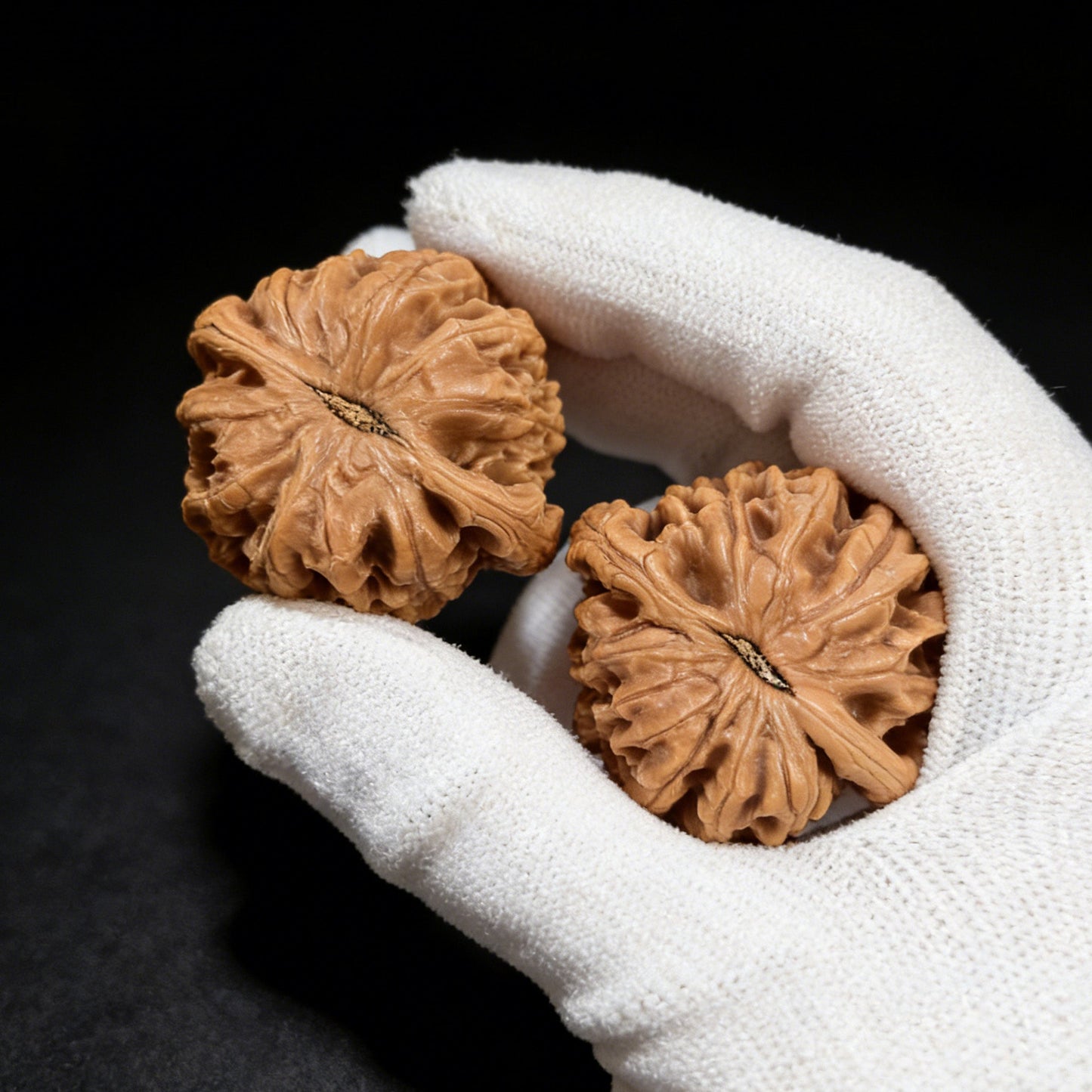 The "Dwarf Weight" (Chengtuo) Pair | 39.0mm x 37.0mm | CT-02 - ThePatinaProject