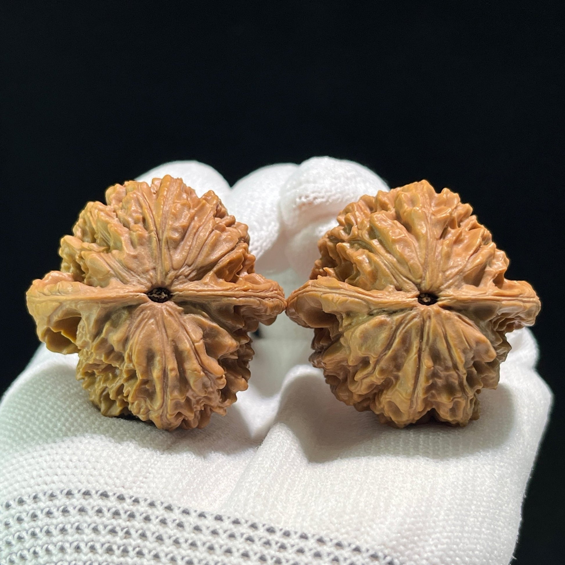 The "Earth Cauldron" (Kun Ding) Pair | 39.0mm x 38.0mm | KD-601 - ThePatinaProject