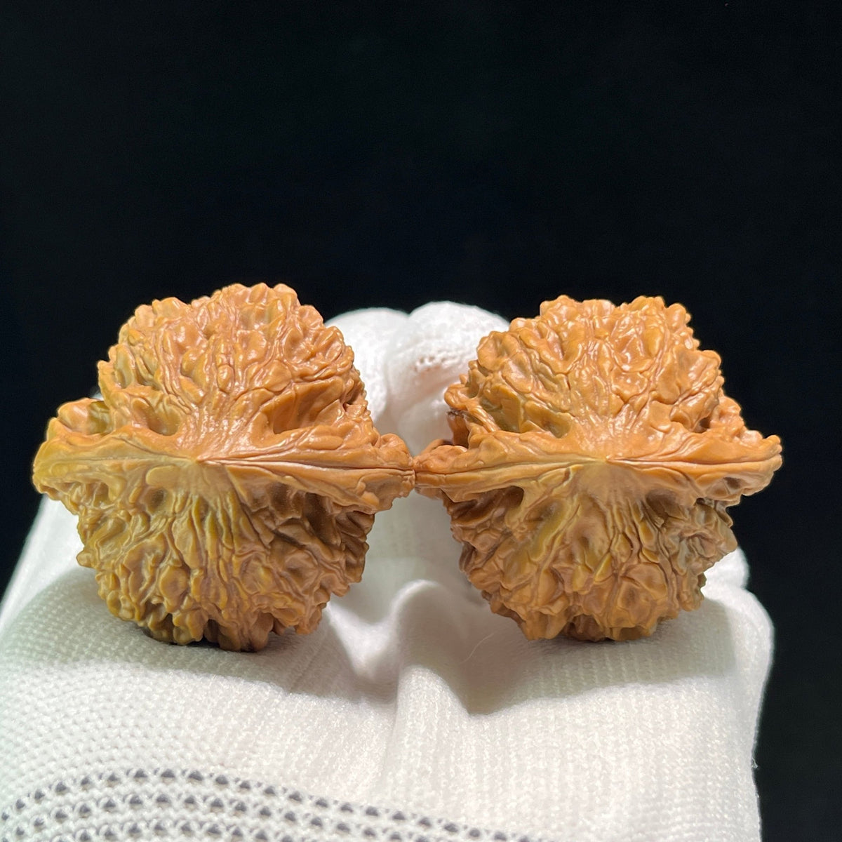 The "Earth Cauldron" (Kun Ding) Pair | 39.0mm x 38.0mm | KD-601 - ThePatinaProject