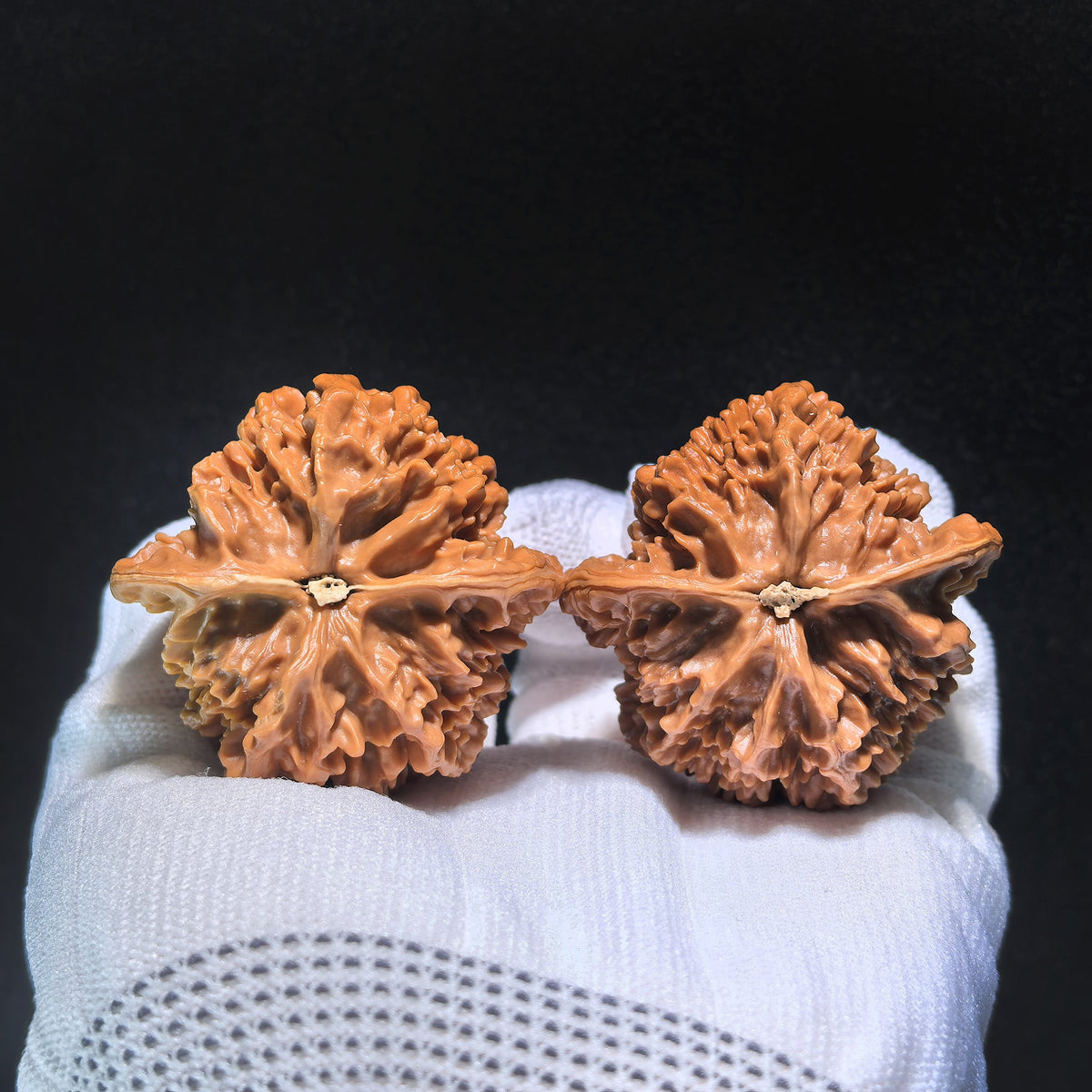The "Emperor" (Di Wang) Pair | 45.0mm x 45.0mm | DW-602 - ThePatinaProject