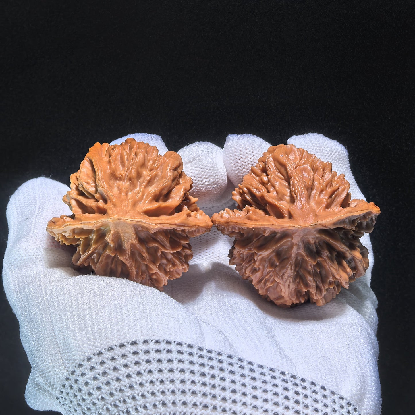 The "Emperor" (Di Wang) Pair | 45.0mm x 45.0mm | DW-602 - ThePatinaProject