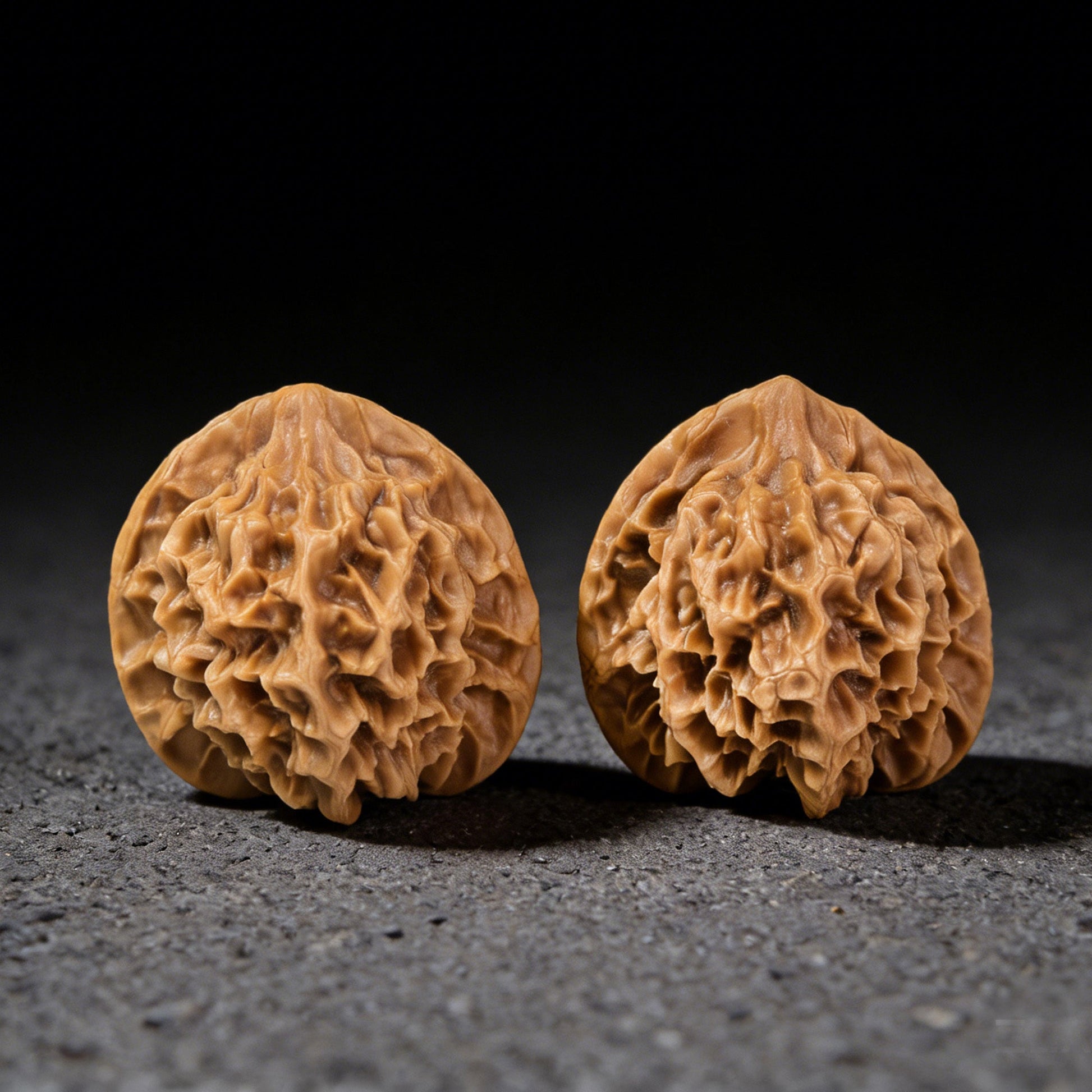 The "Emperor" (Di Wang) Pair | 49.0mm x 45.0mm | DW-301 - ThePatinaProject