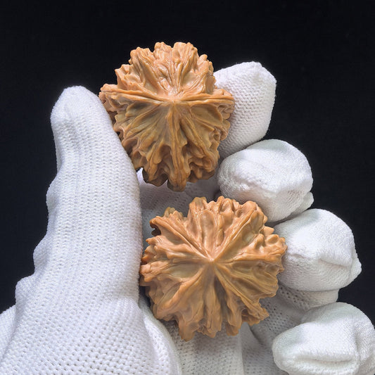The Eternal "Qishan Lifetime Devotion" Qishan Yishengyishi Pocket Mutation | 31.0mm x 34.0mm | QSYSYS-401E - ThePatinaProject