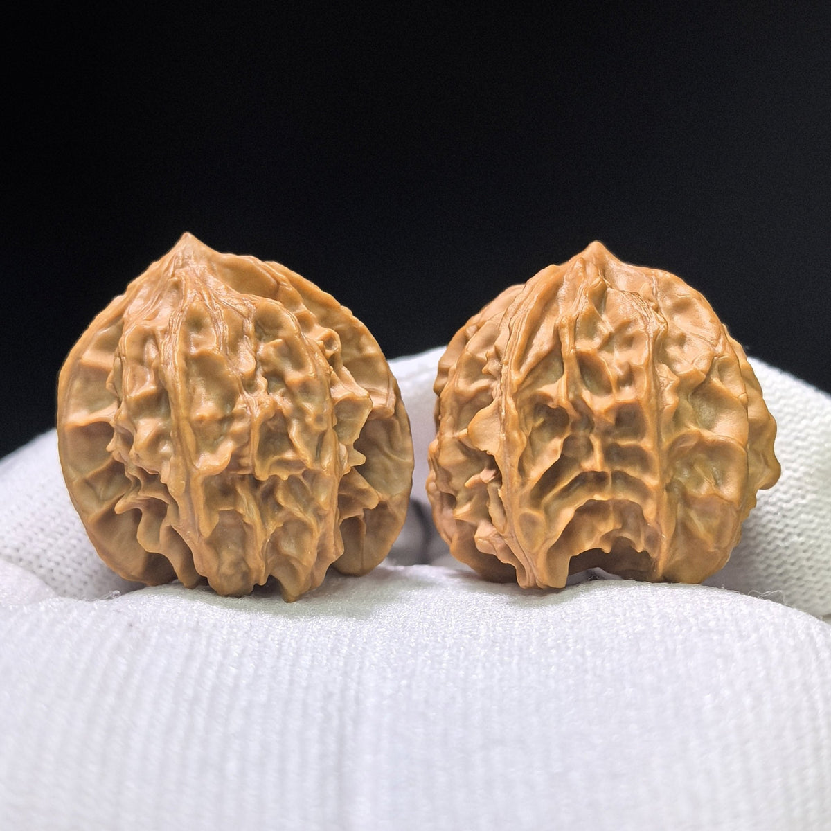The Eternal "Qishan Lifetime Devotion" Qishan Yishengyishi Pocket Mutation | 31.0mm x 34.0mm | QSYSYS-401E - ThePatinaProject