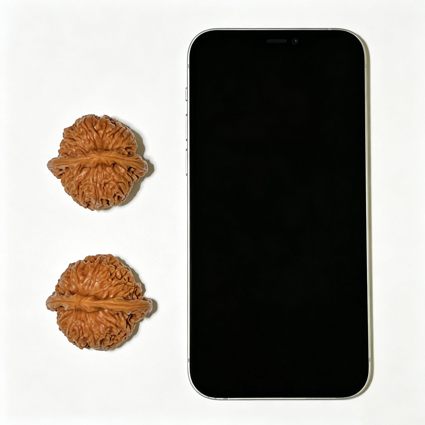 The Exceptional "Steelyard Weight" Chentuo Lion Head Pocket Masterpiece | 39.0mm x 37.0mm | CT-1101 - ThePatinaProject
