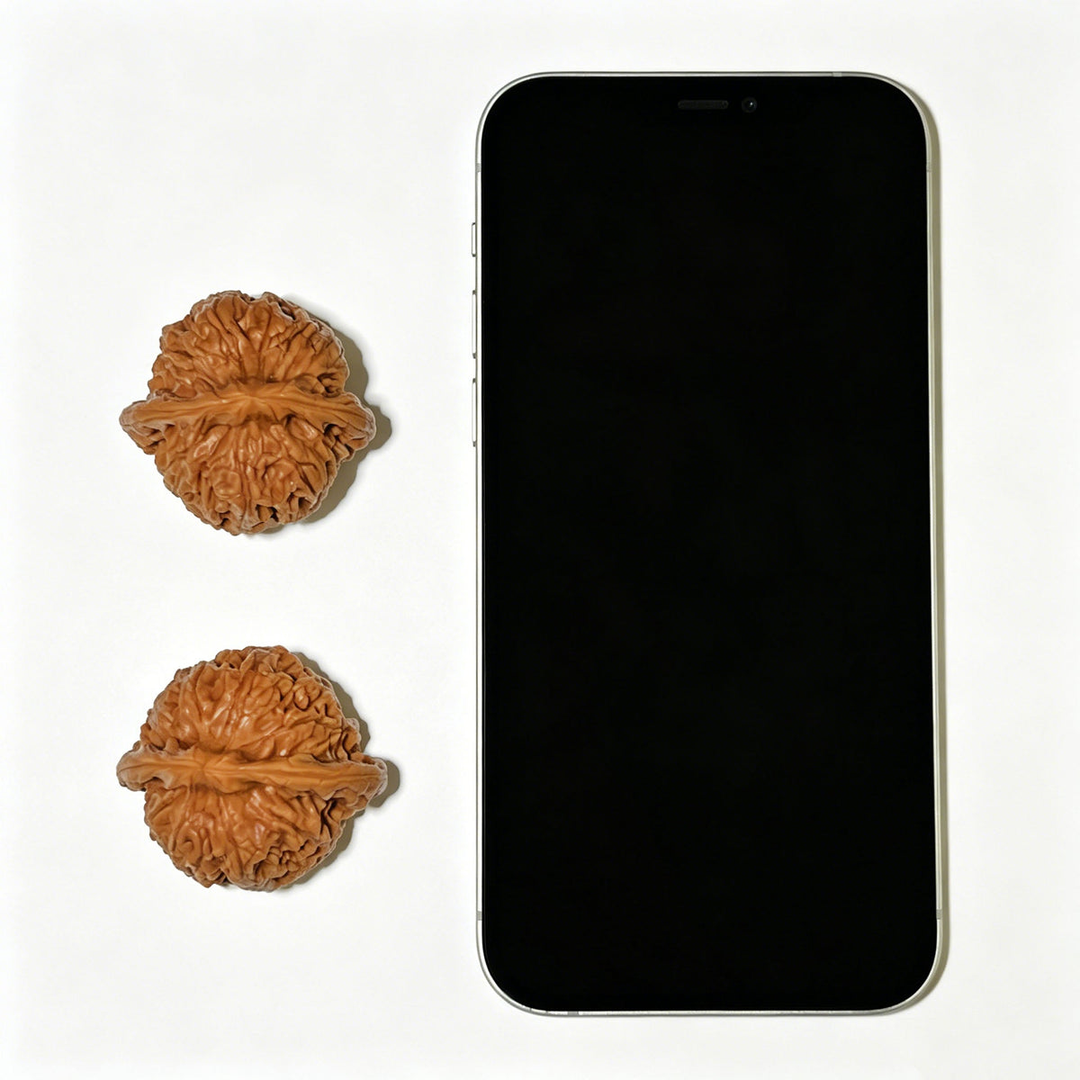 The Exceptional "Steelyard Weight" Chentuo Lion Head Pocket Masterpiece | 39.0mm x 37.0mm | CT-1101 - ThePatinaProject