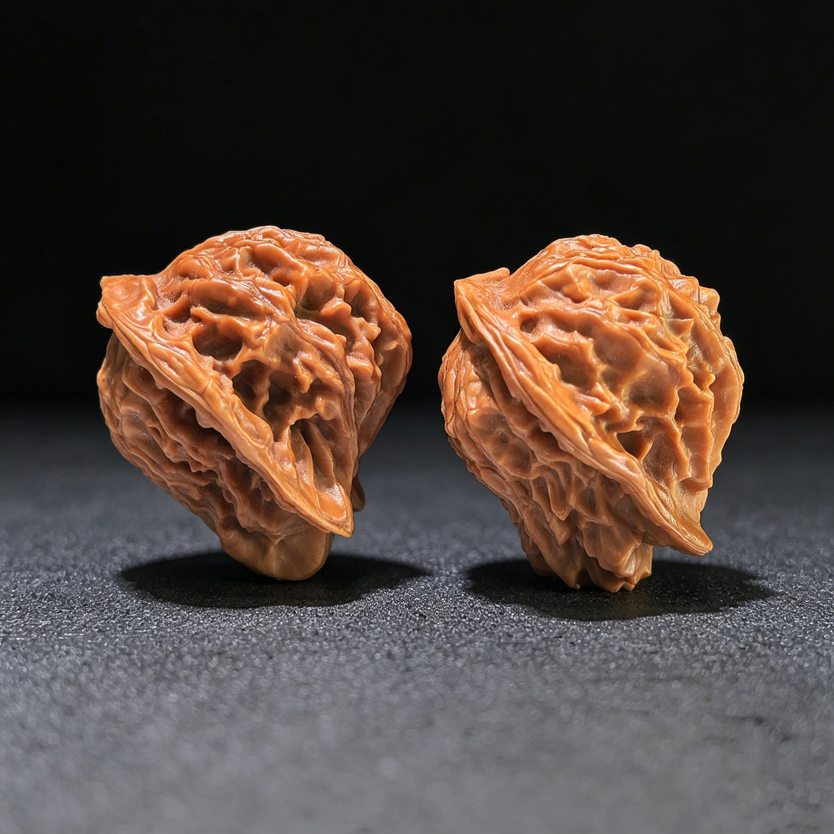 The "Exotic Dolphin" (Xiao Hai Tun) Matched Pair | XHT-802 - ThePatinaProject