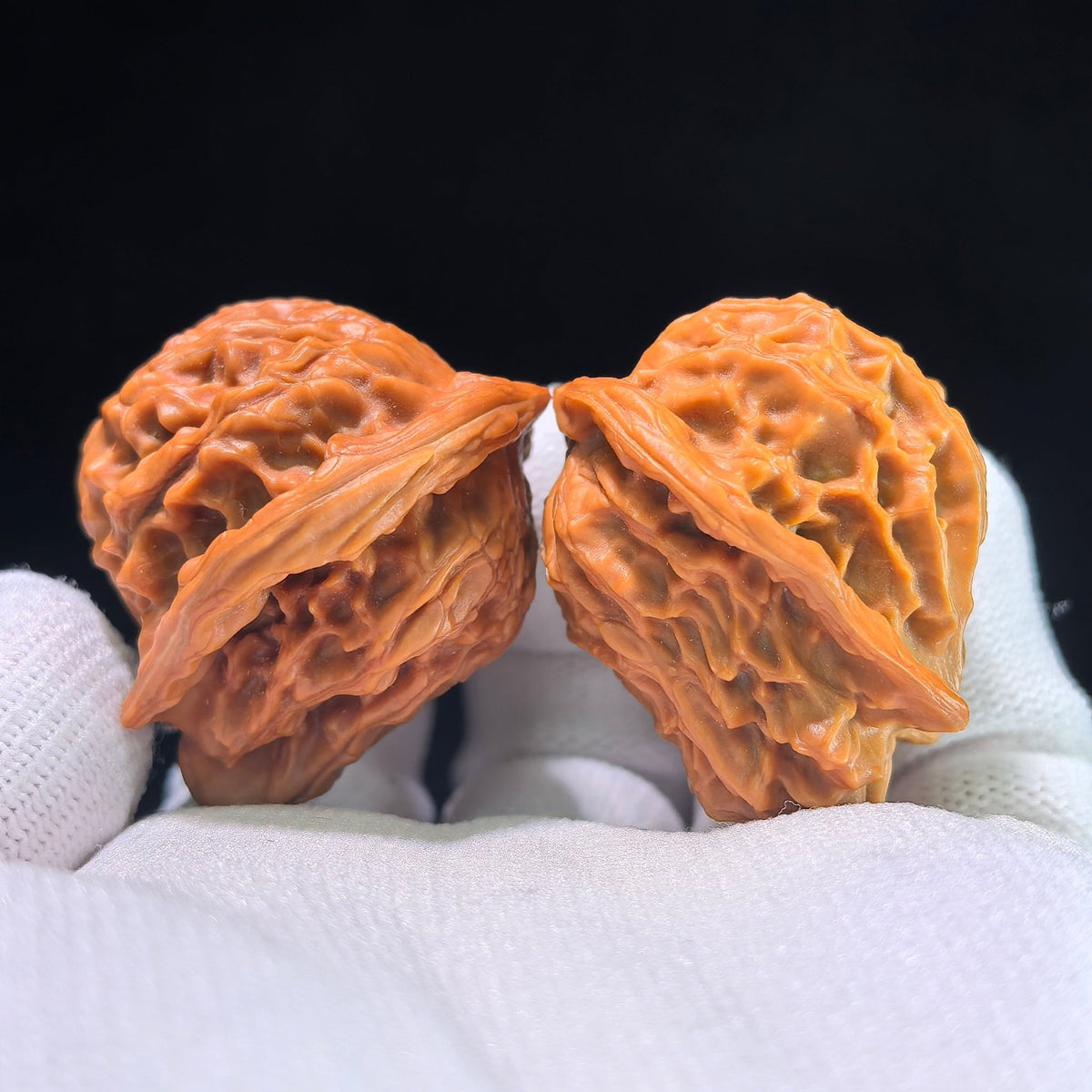 The "Exotic Dolphin" (Xiao Hai Tun) Matched Pair | XHT-802 - ThePatinaProject