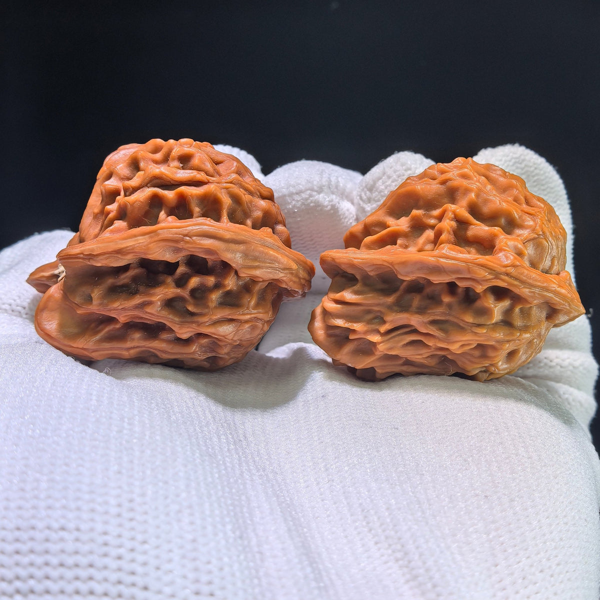 The "Exotic Dolphin" (Xiao Hai Tun) Matched Pair | XHT-802 - ThePatinaProject