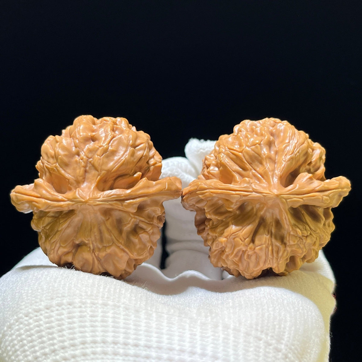 The Exquisite "Acacia Harmony" Hehuan Lion Head Masterpiece | 43.0mm x 42.0mm | HH-702 - ThePatinaProject