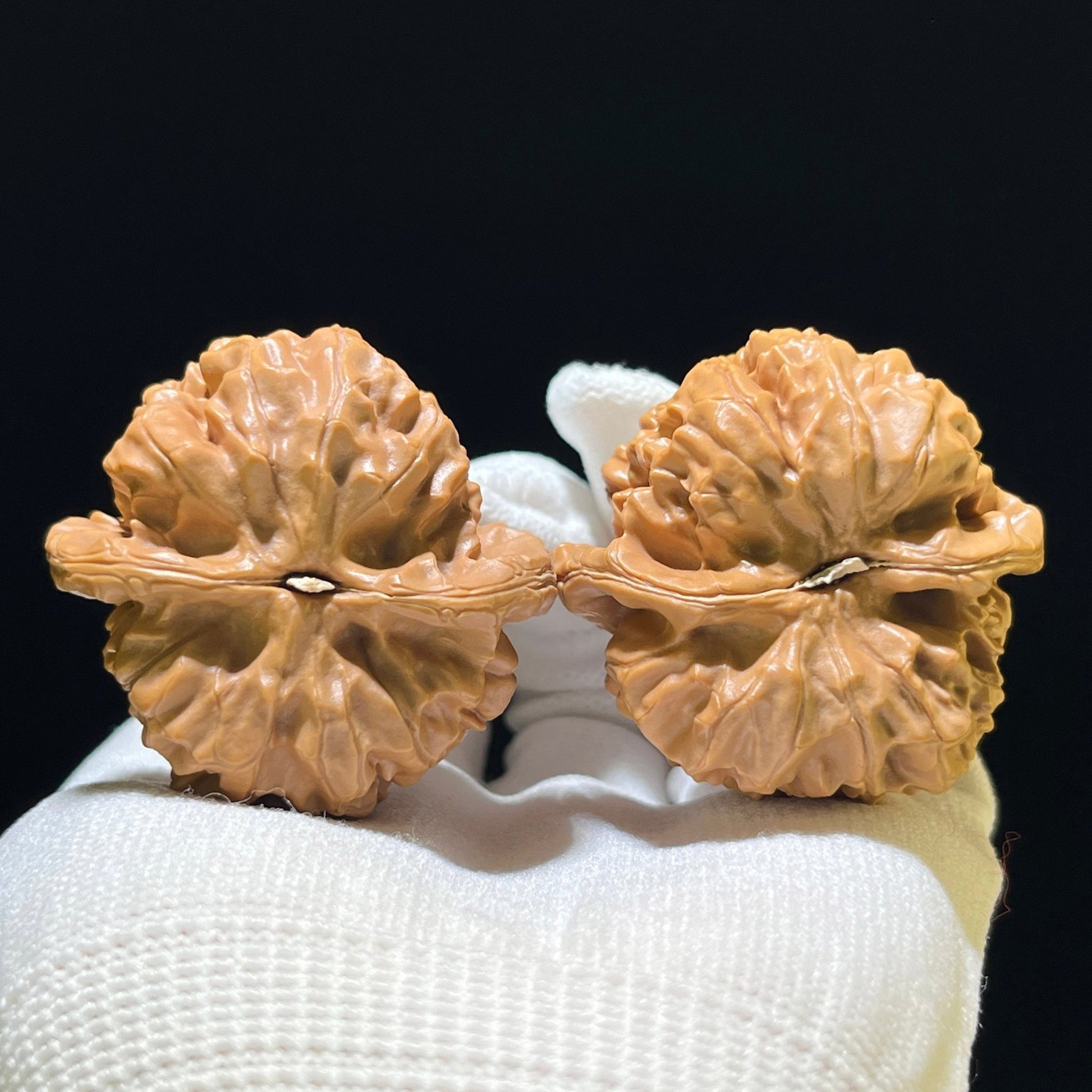 The Exquisite "Acacia Harmony" Hehuan Lion Head Masterpiece | 43.0mm x 42.0mm | HH-702 - ThePatinaProject