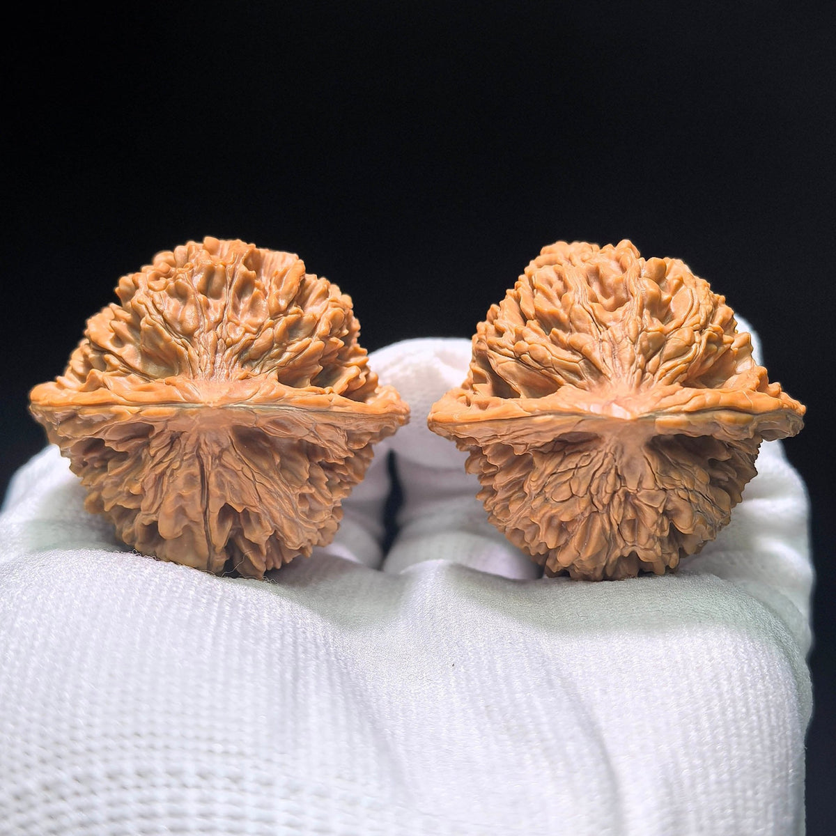 The Exquisite "Angel Wings" Yuqilin Lion Head Masterpiece | 42.0mm x 40.0mm | YQL-1401 - ThePatinaProject