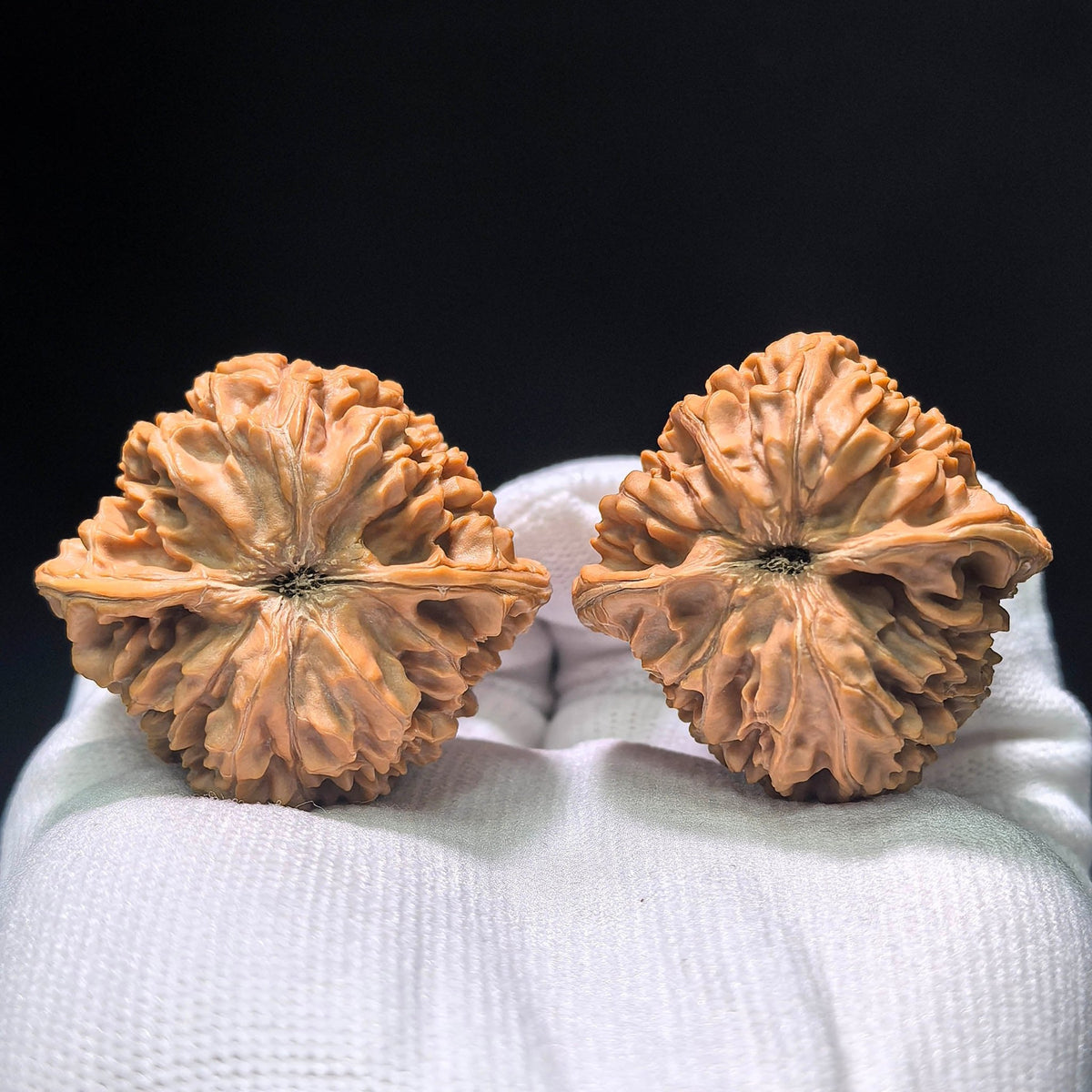 The Exquisite "Angel Wings" Yuqilin Lion Head Masterpiece | 42.0mm x 40.0mm | YQL-1401 - ThePatinaProject