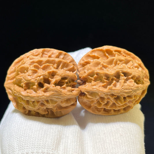 The Exquisite "Concave Base Apple Orchard" Aodi Pingguoyuan Collector Pair | 39.0mm x 40.0mm | ADPGY-1103 - ThePatinaProject