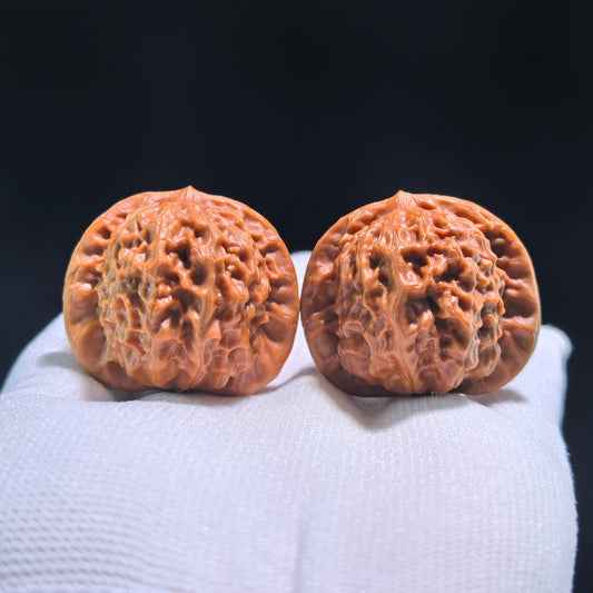 The Exquisite "Porcelain Doll" (Ci Wa Wa) Premier Pair | Boutique Grade | 38.0mm x 35.0mm | CWW-704 - ThePatinaProject