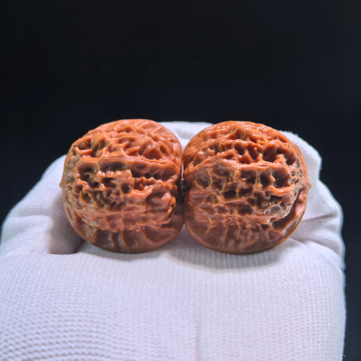 The Exquisite "Porcelain Doll" (Ci Wa Wa) Premier Pair | Boutique Grade | 38.0mm x 35.0mm | CWW-704 - ThePatinaProject