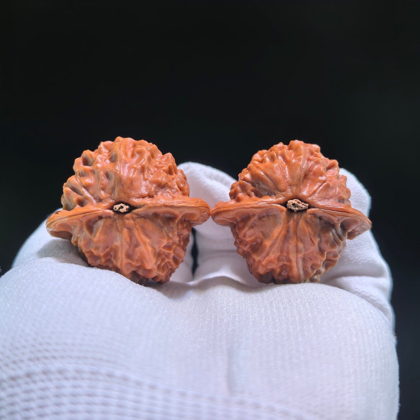 The Exquisite "Porcelain Doll" (Ci Wa Wa) Premier Pair | Boutique Grade | 38.0mm x 35.0mm | CWW-704 - ThePatinaProject
