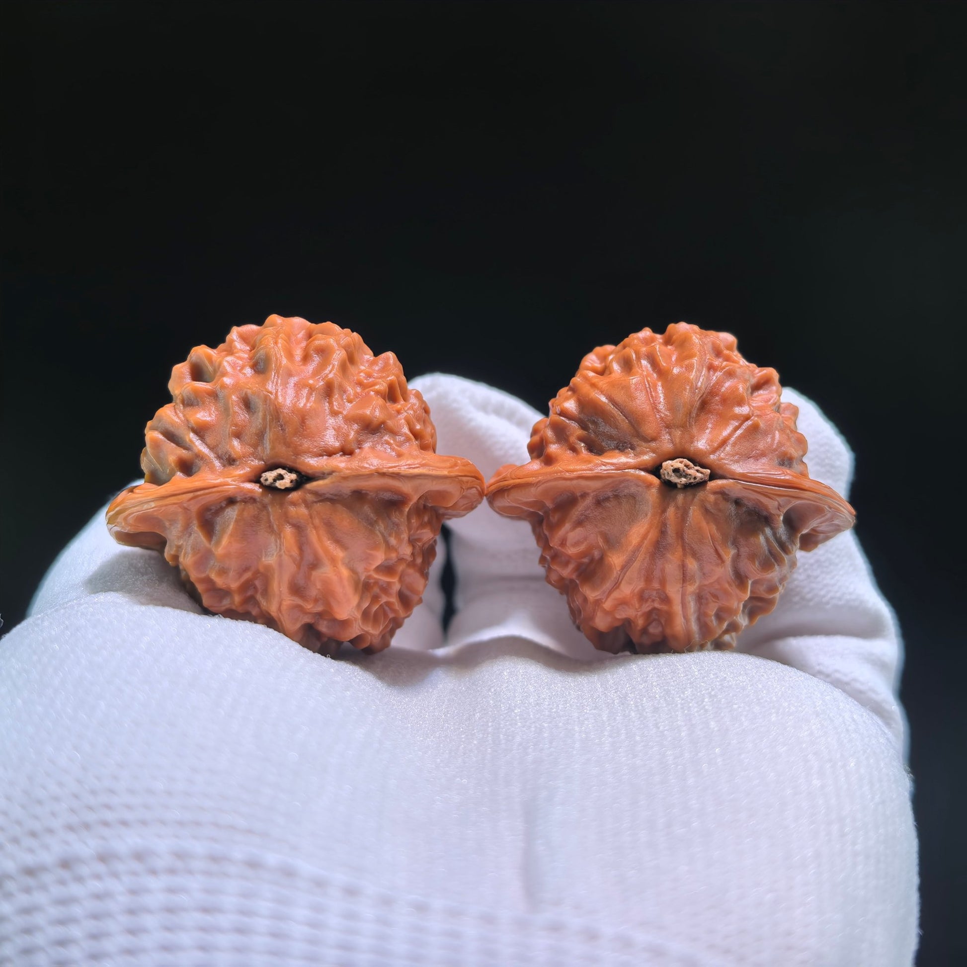 The Exquisite "Porcelain Doll" (Ci Wa Wa) Premier Pair | Boutique Grade | 38.0mm x 35.0mm | CWW-704 - ThePatinaProject