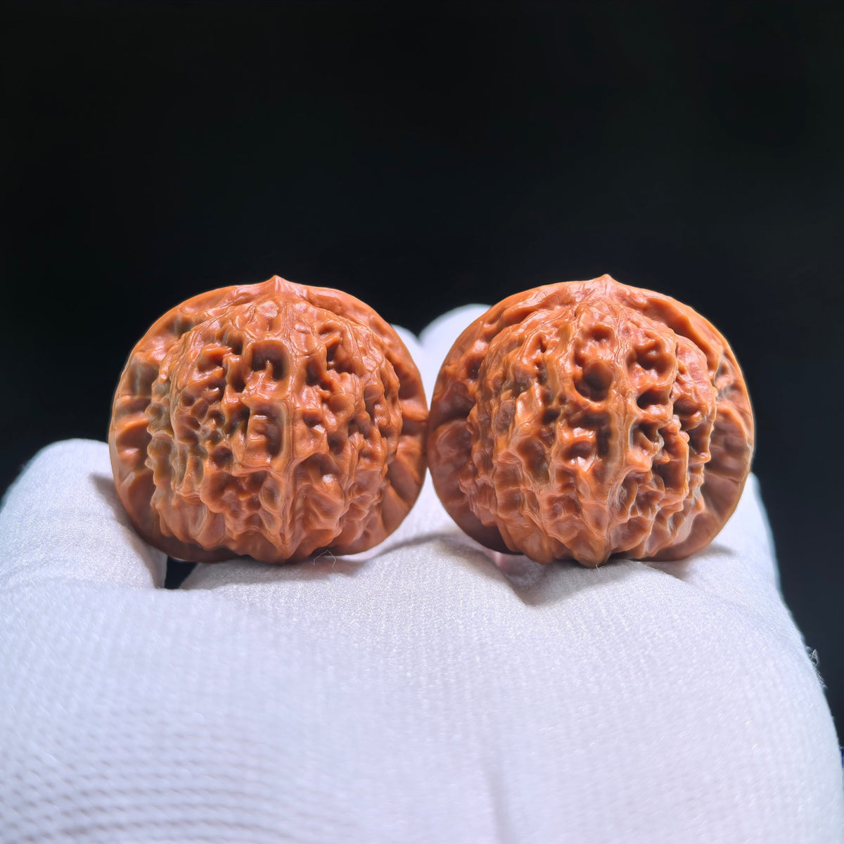 The Exquisite "Porcelain Doll" (Ci Wa Wa) Premier Pair | Boutique Grade | 38.0mm x 35.0mm | CWW-704 - ThePatinaProject