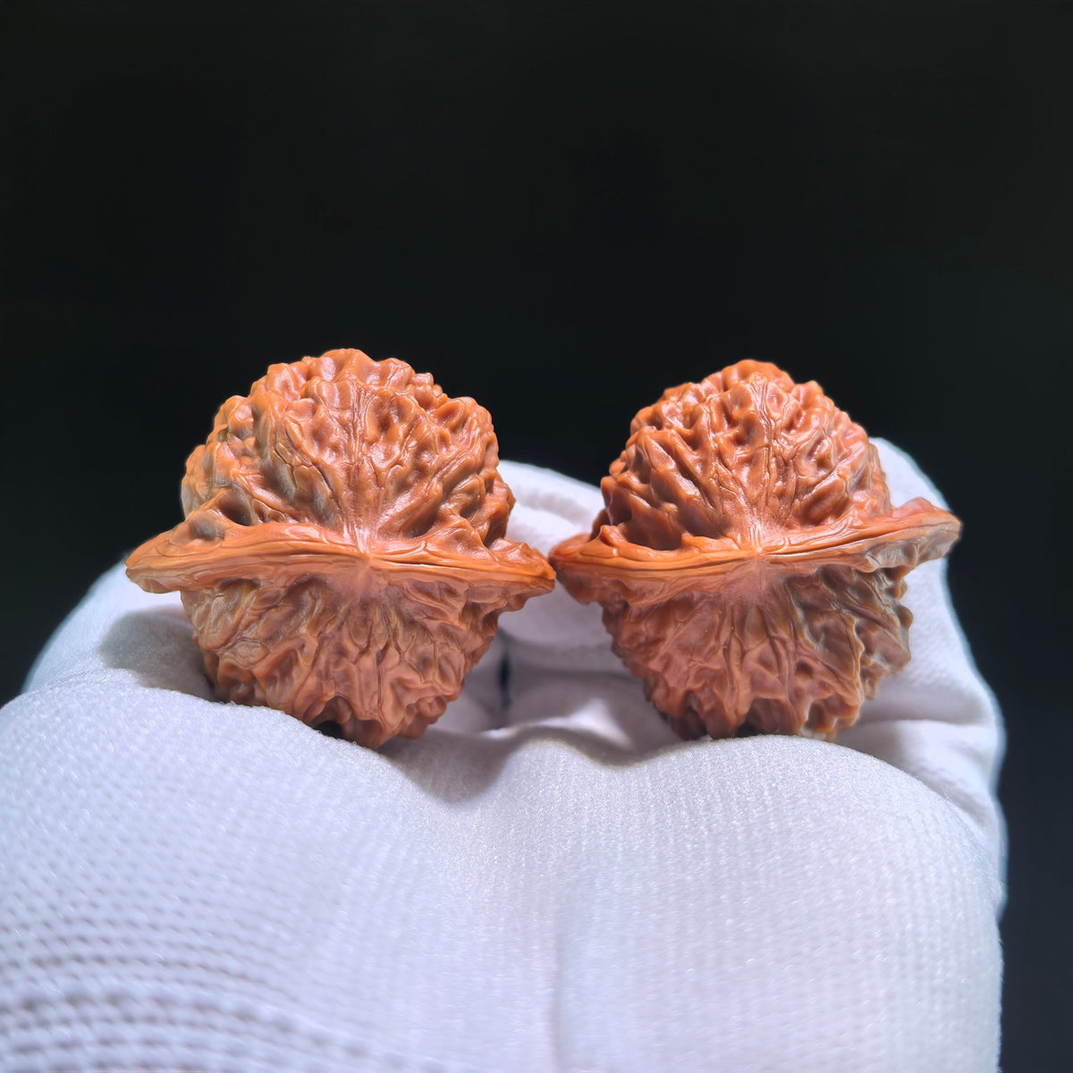 The Exquisite "Porcelain Doll" (Ci Wa Wa) Premier Pair | Boutique Grade | 38.0mm x 35.0mm | CWW-704 - ThePatinaProject