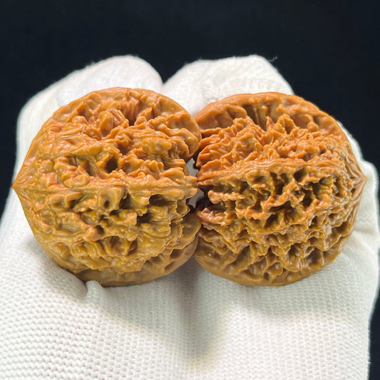 The Exquisite "Starry Sky" Mantianxing Lion Head Pocket Masterpiece | 40.0mm x 36.0mm | MTX-1002 - ThePatinaProject