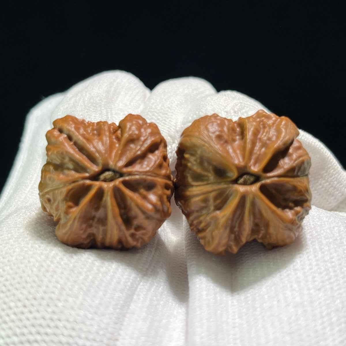 The "Four-Faced Frog" (Si Mian Wa) Mini Pair | 26.0mm x 25.0mm | SMW-601 - ThePatinaProject