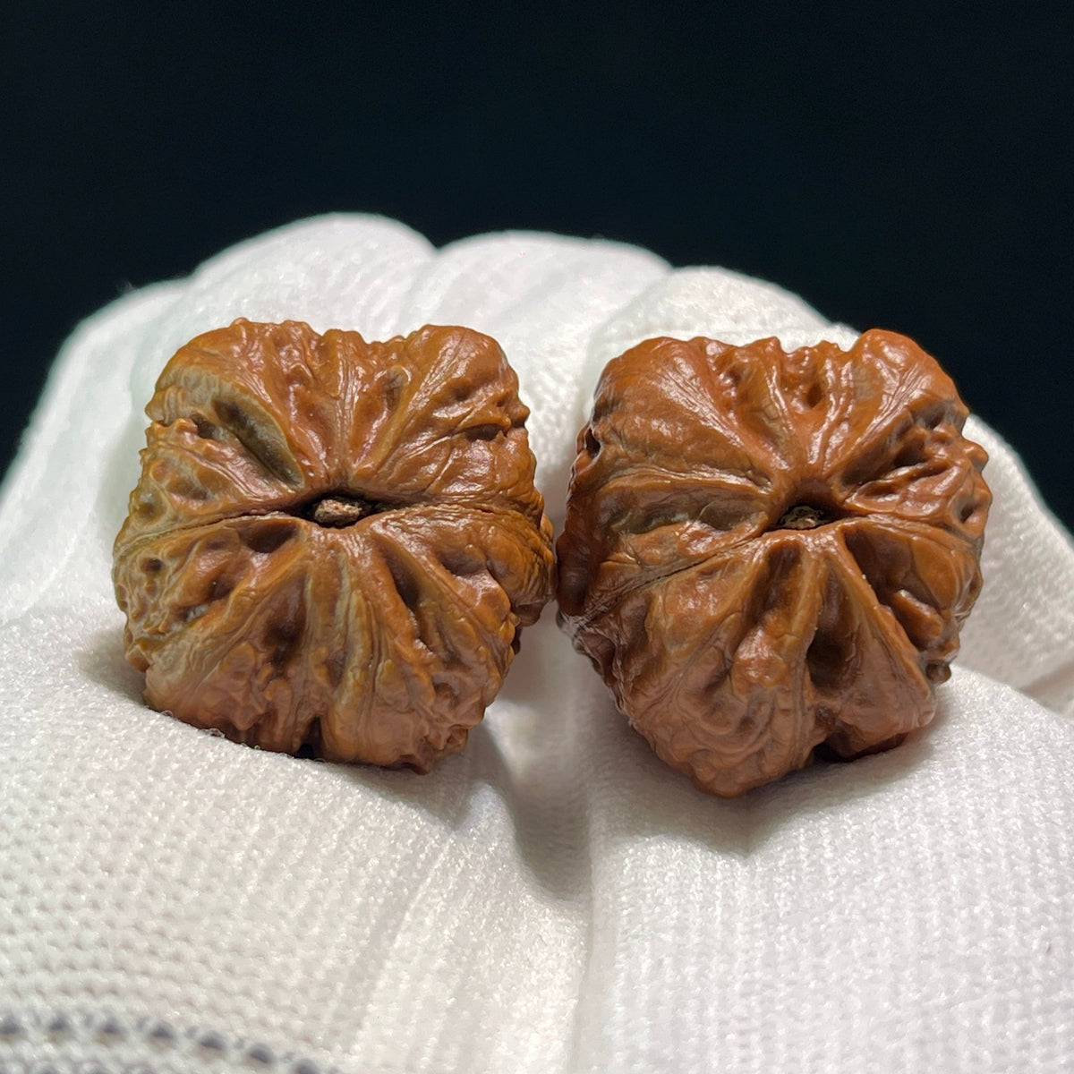 The "Four-Faced Frog" (Si Mian Wa) Mini Pair | 26.0mm x 26.0mm | SMW-603 - ThePatinaProject